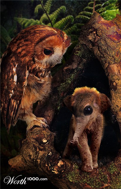 Photoshop Design by cameon