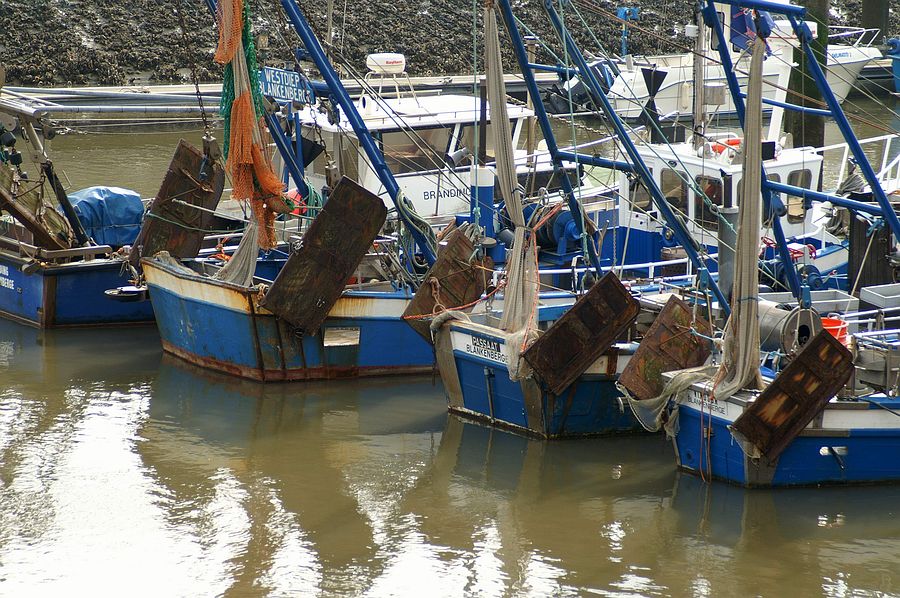 Photography by Baarchoem for DesignCrowd (Community Contests) | Design #8989079