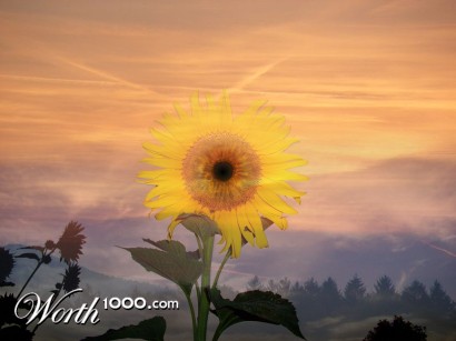 Photoshop Design by bendeco