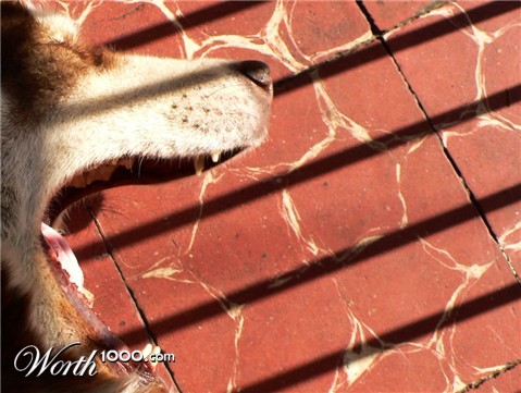 Photography by sausirhi