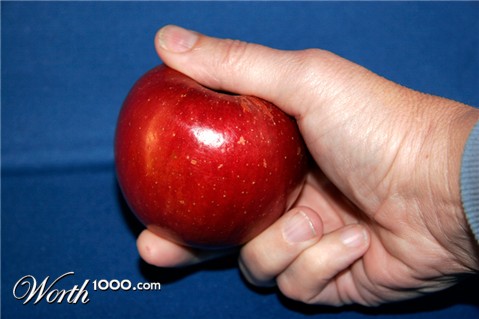 Photography by pinkfly