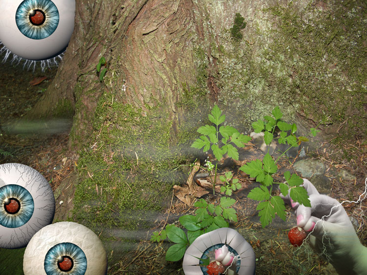 Photoshop Design by gipper2041 for DesignCrowd (Community Contests) | Design #8985785