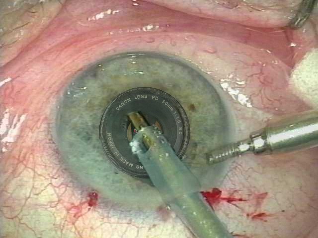 Design Photoshop par BOREDAMETHYST pour DesignCrowd (Community Contests) | Design #8985768