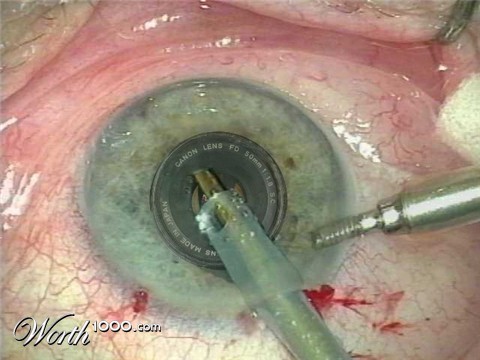 Photoshop Design by BOREDAMETHYST