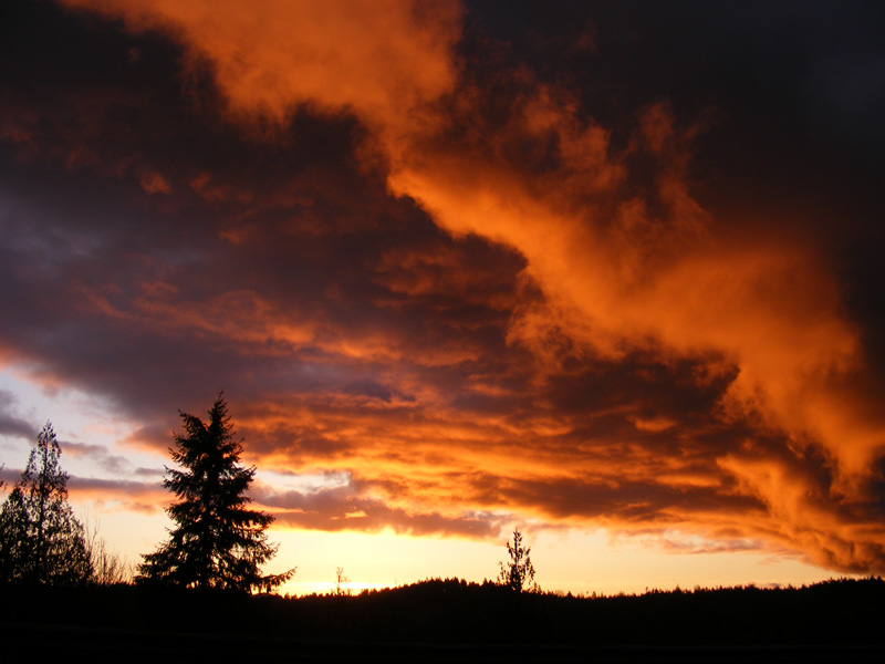 Photographie par Feature pour DesignCrowd (Community Contests) | Design #8989029