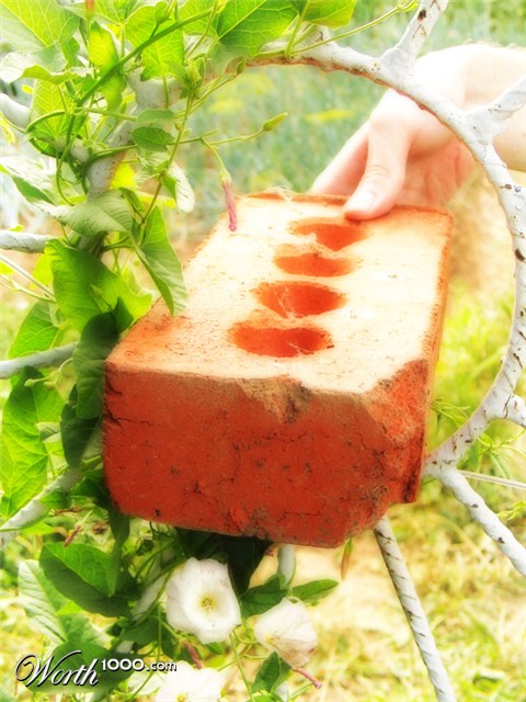 Photography by bilirubin