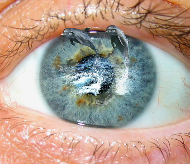 Photoshop-Design von deerreaper für DesignCrowd (Community Contests) | Design #8985806