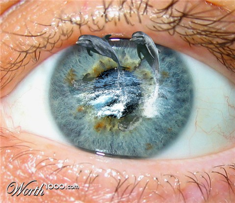 Photoshop Design by deerreaper