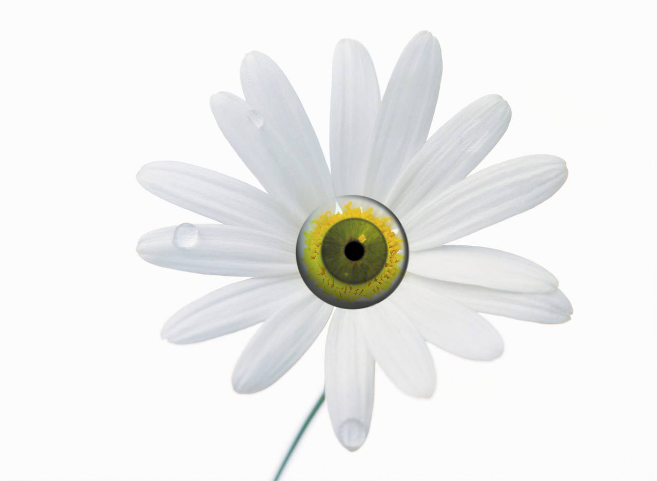 Photoshop Design by Starfoot for DesignCrowd (Community Contests) | Design #8985811