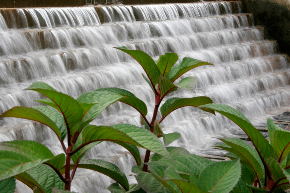 Photography by pinkfly for DesignCrowd (Community Contests) | Design #8983909