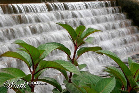 Photography by pinkfly