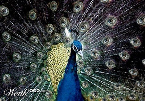 Photoshop Design by fogolino