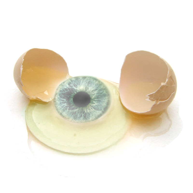 Design Photoshop par sherylphotomagic pour DesignCrowd (Community Contests) | Design #8985809