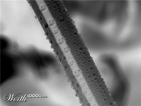 Photography by hollistereagle8