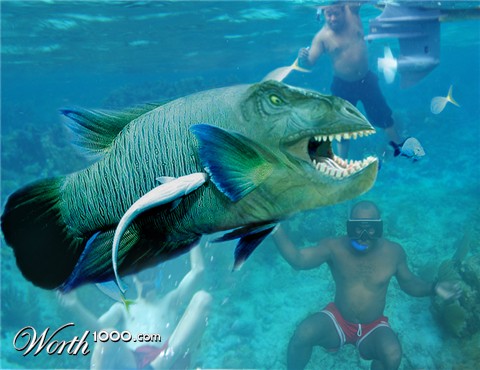 Photoshop Design by Belizeanbeef