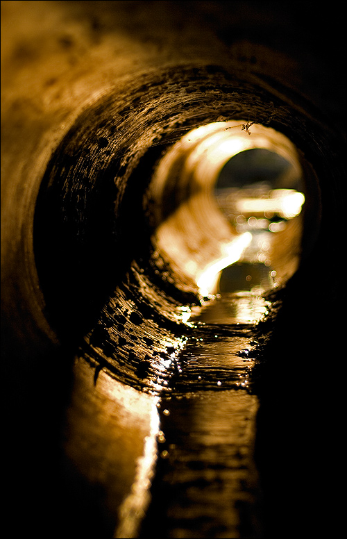 Photographie par mated1976 pour DesignCrowd (Community Contests) | Design #8983915