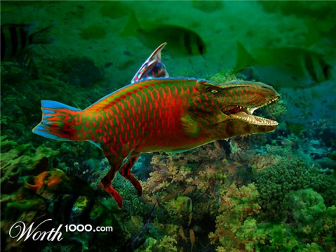 Photoshop Design by offsidejrz2