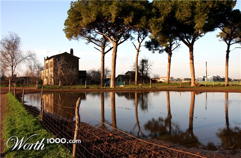 Photography by clapel
