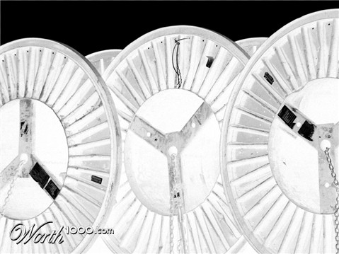 Photography by scarpino36109