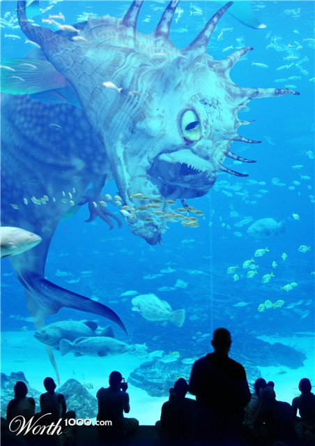Photoshop Design by scandarelli