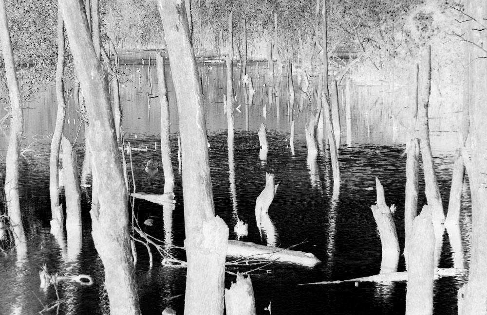 Photography by R-evolution GFX for DesignCrowd (Community Contests) | Design #8982349