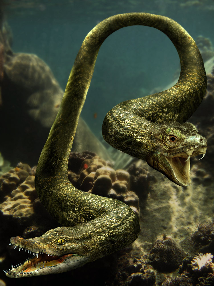 Diseño de Photoshop por bosss1 para DesignCrowd (Community Contests) | Diseño #8982845