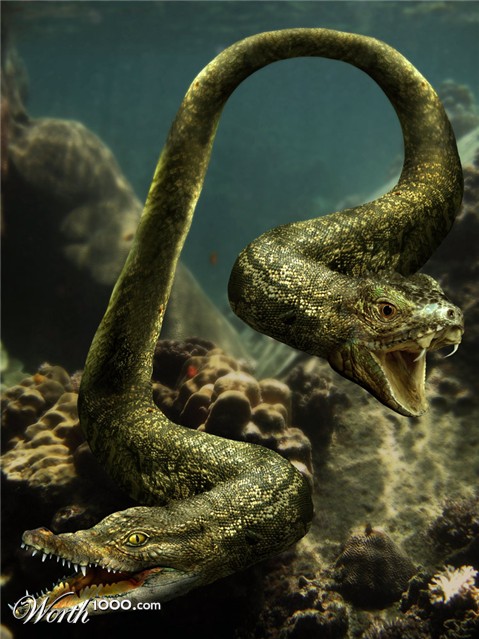 Photoshop Design by bosss1