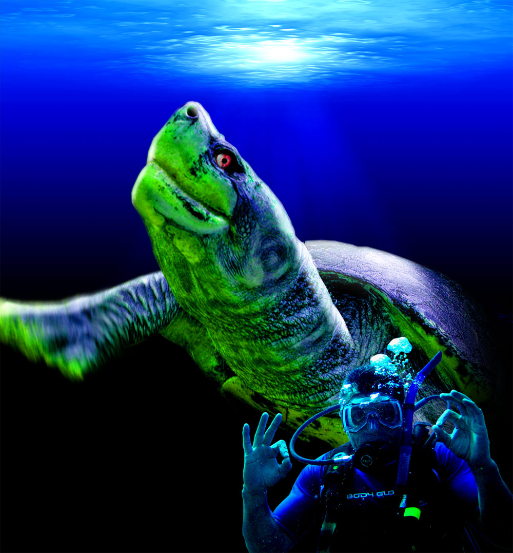 Photoshop Design by davidberettaowens for DesignCrowd (Community Contests) | Design #8982841