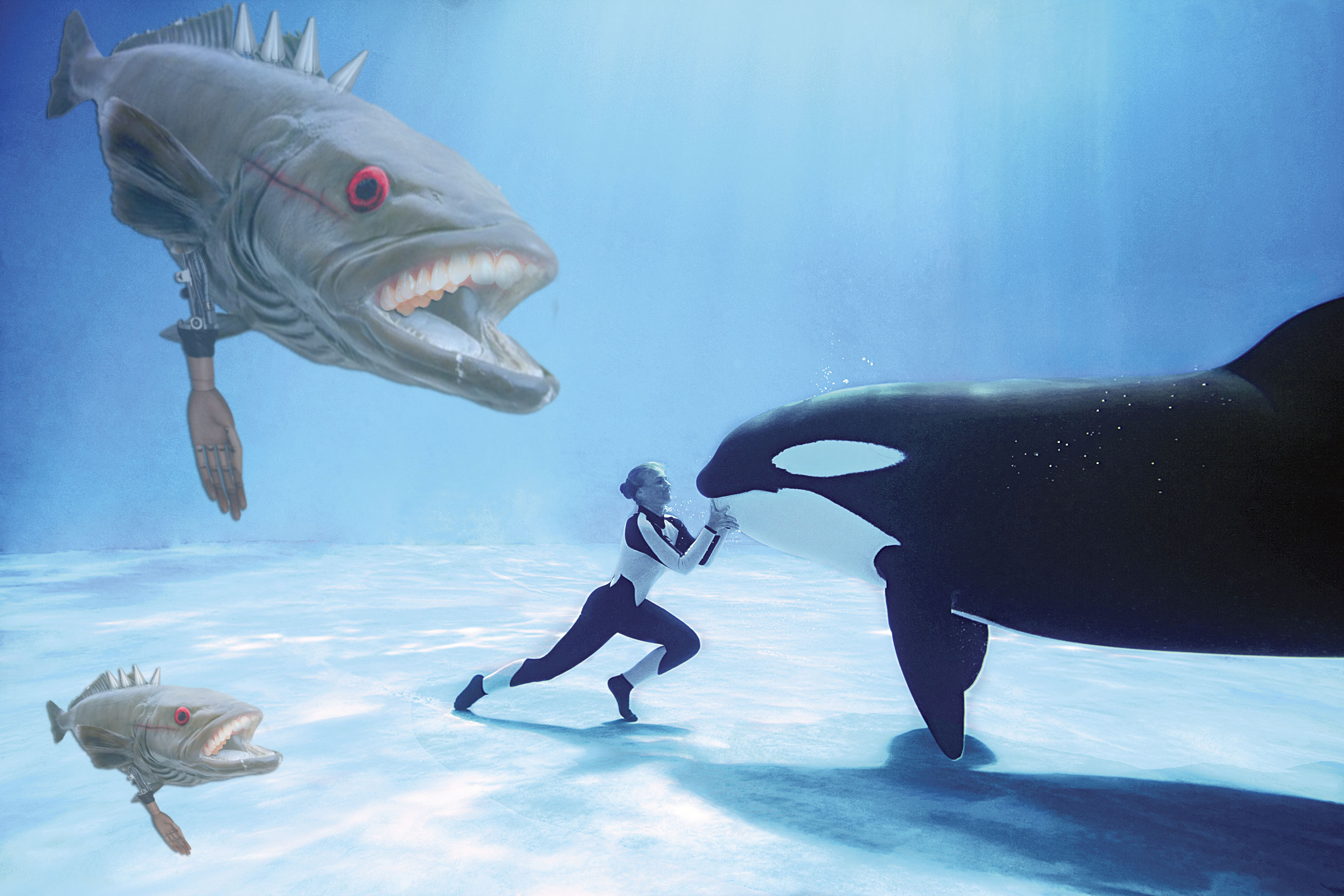 Design Photoshop par cobin31 pour DesignCrowd (Community Contests) | Design #8982853