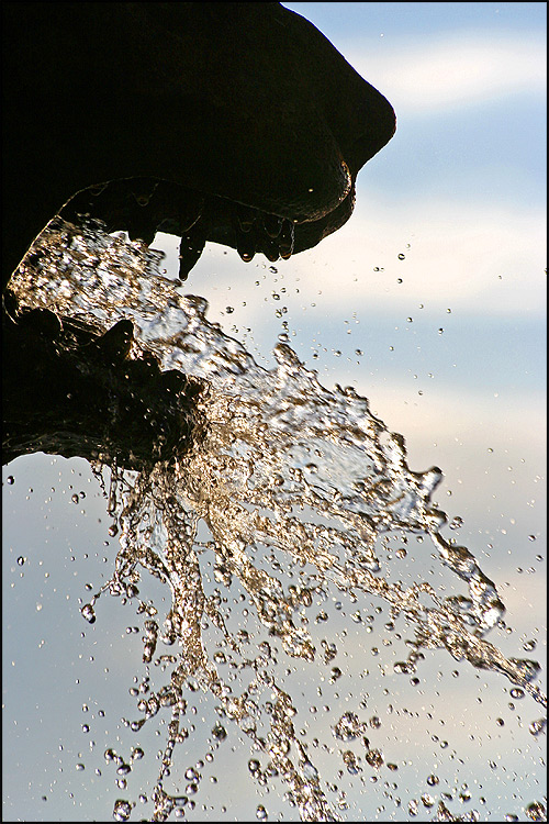 Photography by Jesusito for DesignCrowd (Community Contests) | Design #8983920