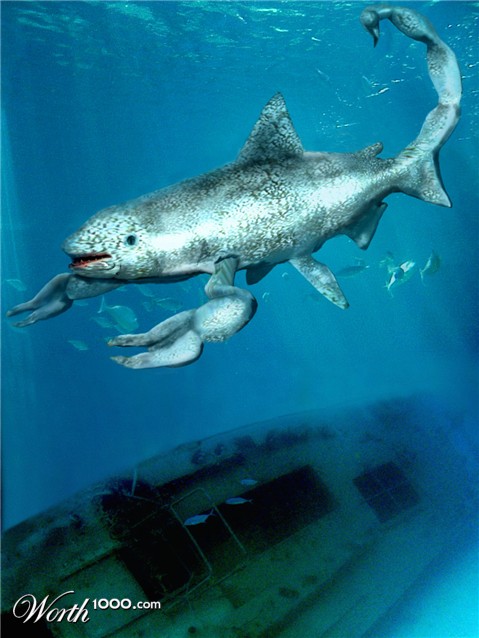 Photoshop Design by fanucci