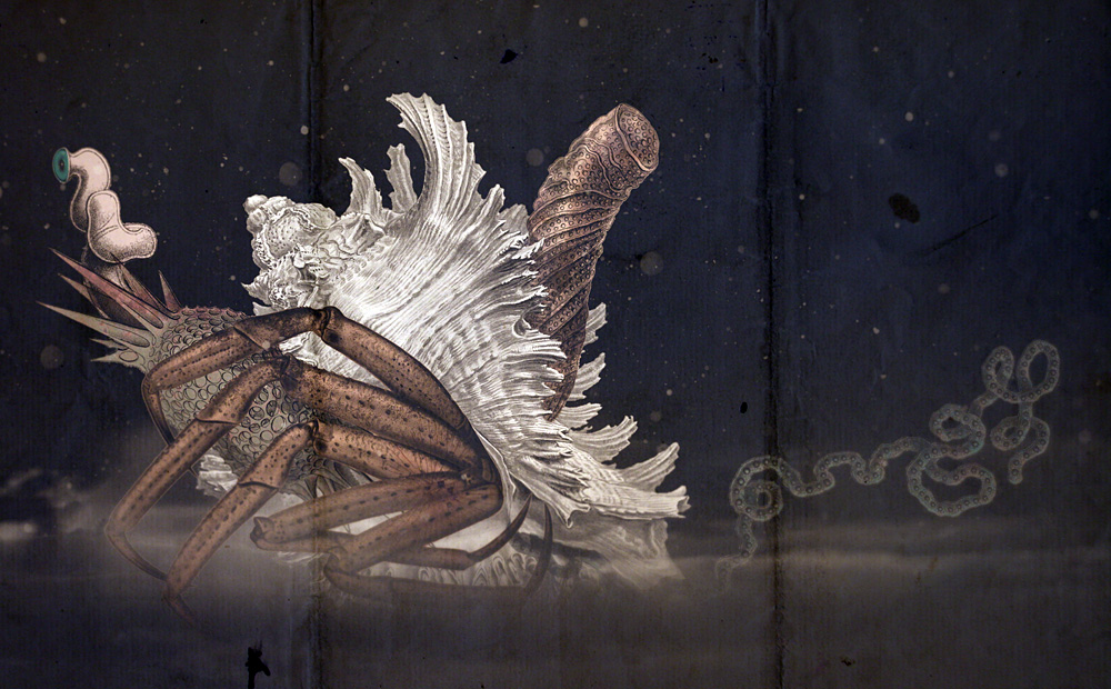 Photoshop Design by DogofAges for DesignCrowd (Community Contests) | Design #8982858