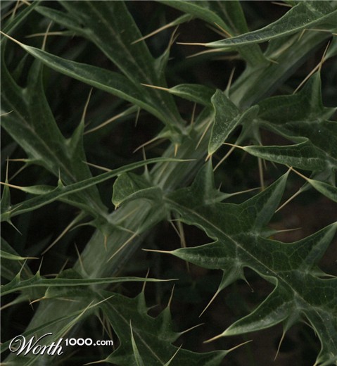 Photography by exposed