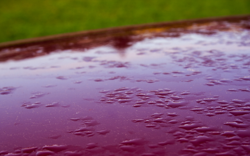 Photography by opticrambler for DesignCrowd (Community Contests) | Design #8983924