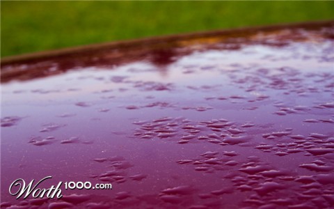 Photography by opticrambler