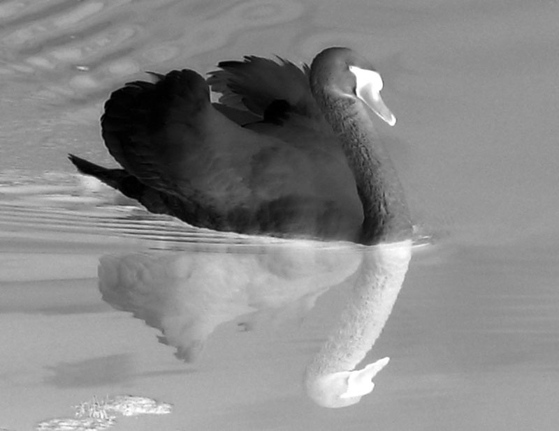 Photography by bepo77 for DesignCrowd (Community Contests) | Design #8982369