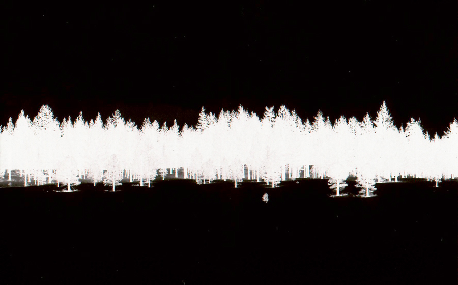 Fotografía por lticew para DesignCrowd (Community Contests) | Diseño #8982370