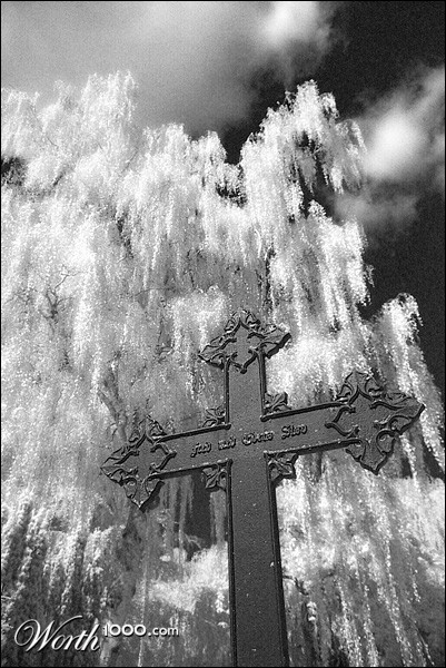 Photography by DogofAges