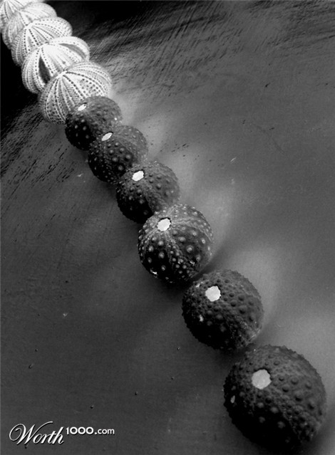 Photography by ljvgtj