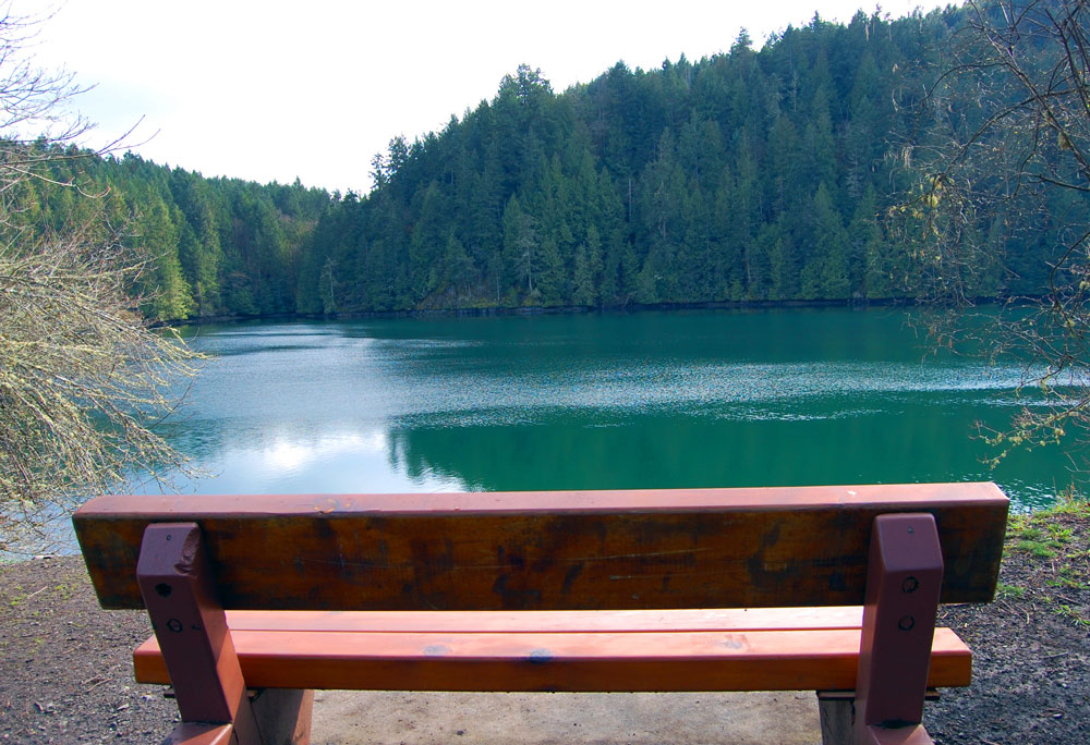 Photography by SteelMonkey for DesignCrowd (Community Contests) | Design #8983249