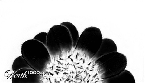 Photography by JillianRed