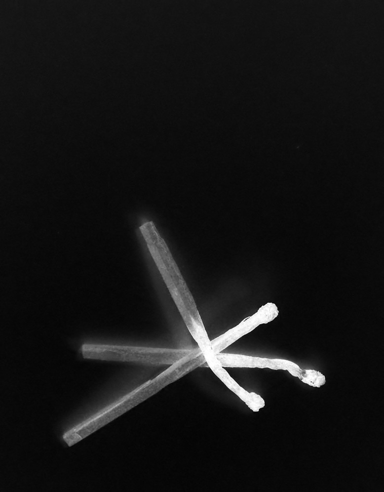 Fotografie von Isabella2006 für DesignCrowd (Community Contests) | Design #8982386