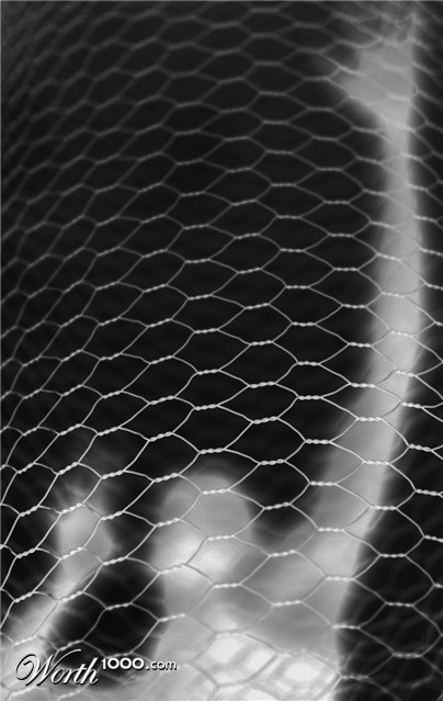 Photography by v3n0m0us