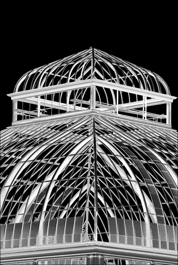 Fotografie von bozosafari für DesignCrowd (Community Contests) | Design #8982378