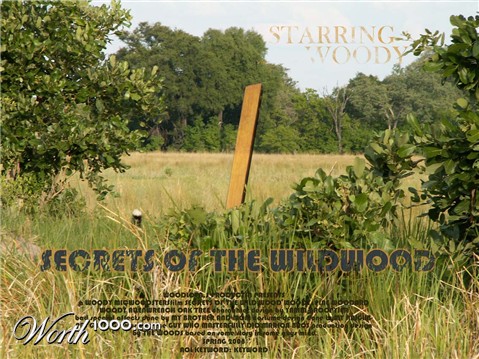 Photoshop Design by electron18