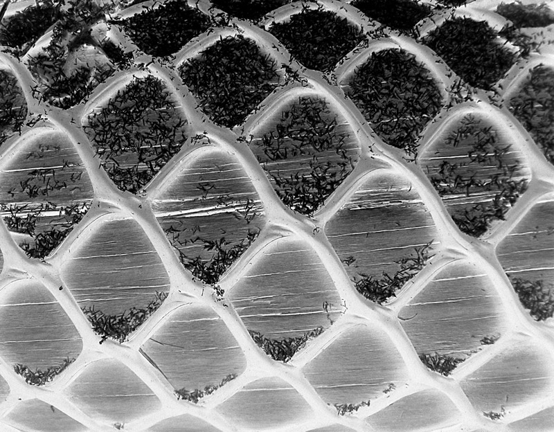 Fotografía por IsleofJura para DesignCrowd (Community Contests) | Diseño #8982388