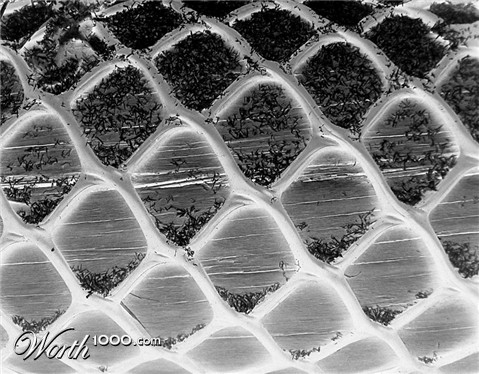 Photography by IsleofJura