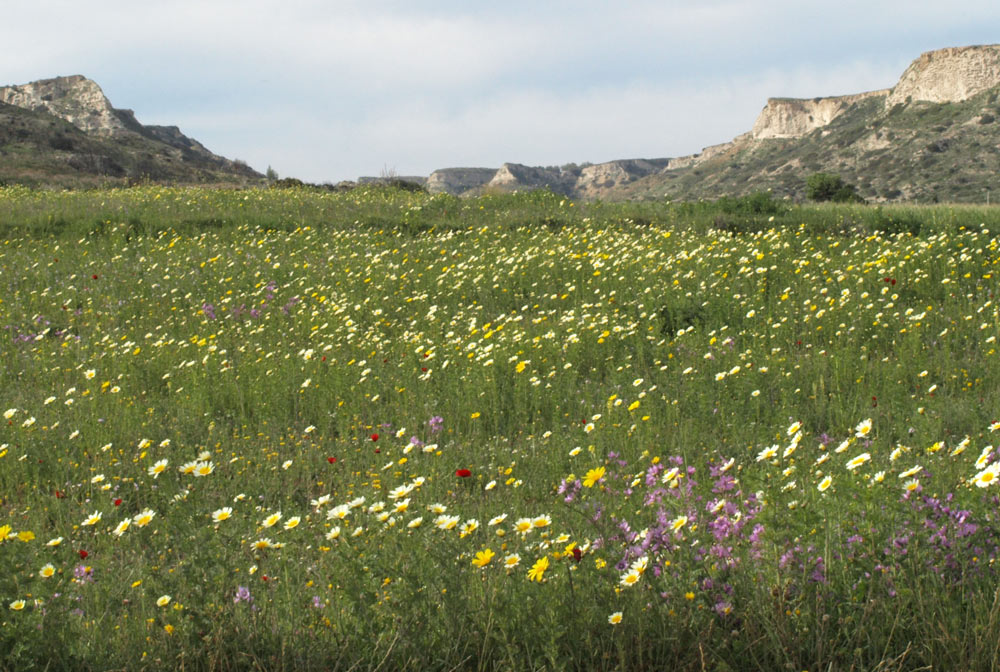 Photographie par exposed pour DesignCrowd (Community Contests) | Design #8983259