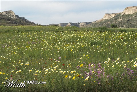 Photography by exposed