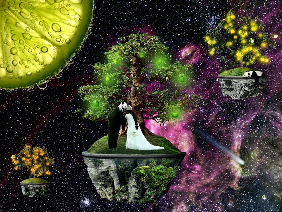 Photoshop Design by CoolKat85 for DesignCrowd (Community Contests) | Design #8985368